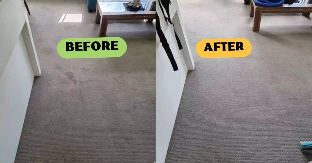 Best Carpet Cleaning