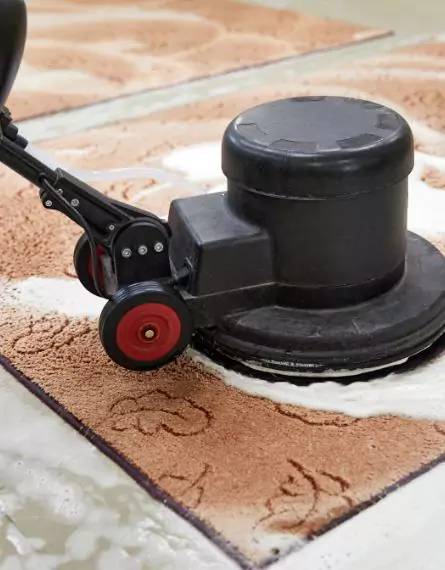 Dulwich Hill Carpet Cleaning