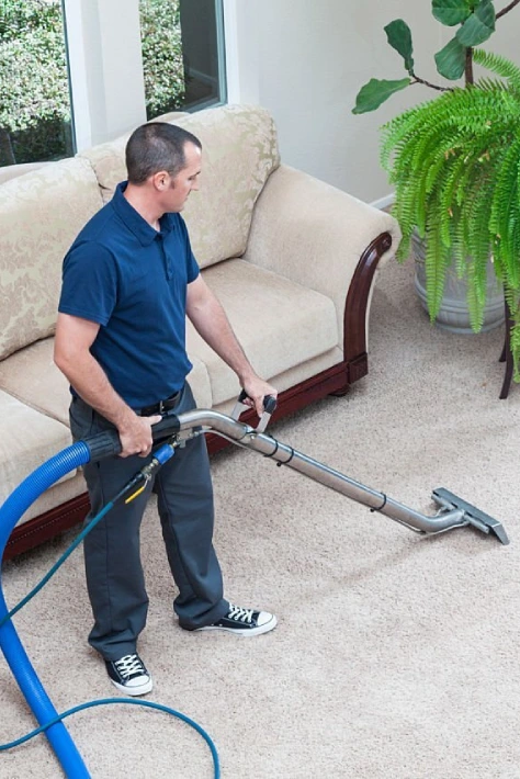 Carpet Cleaning Services Dulwich Hill