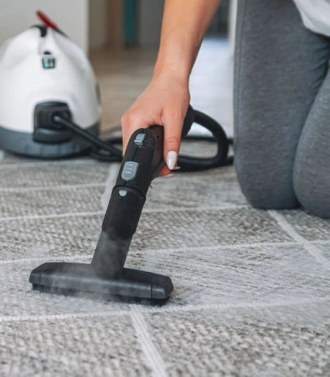 Carpet Cleaning Services Dulwich Hill