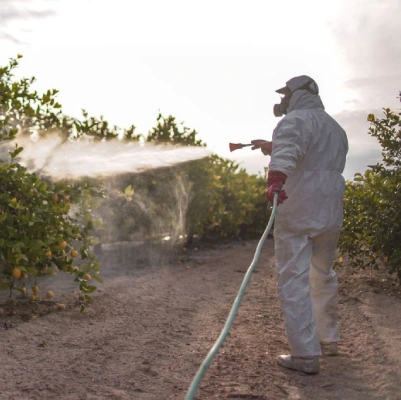 Pest Control Dulwich Hill