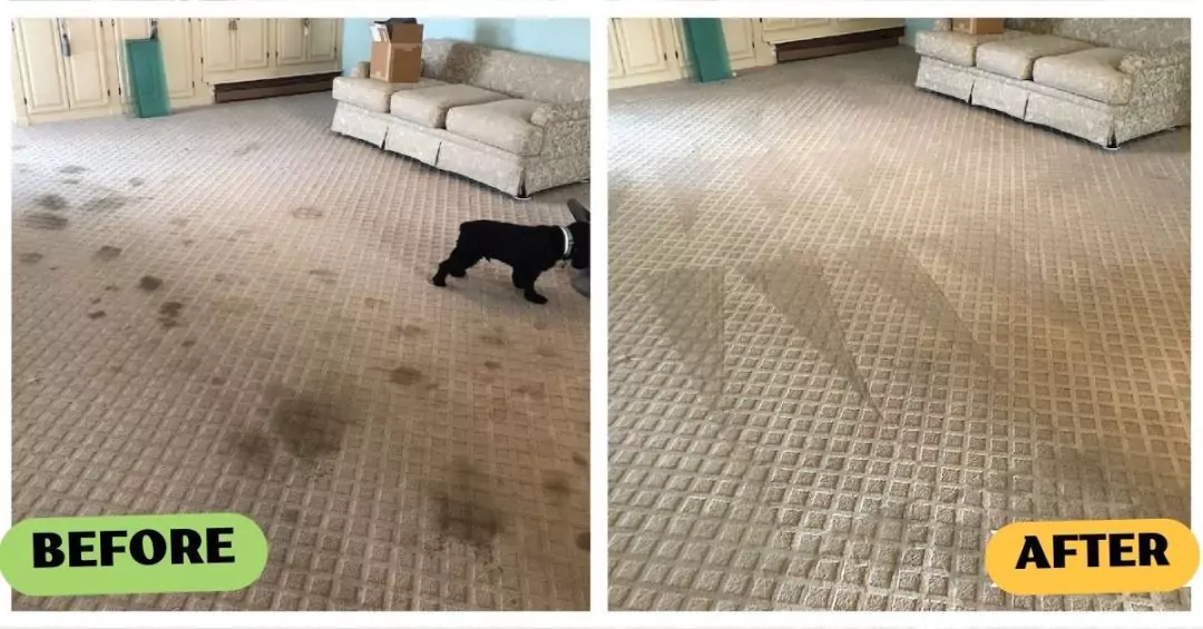 Professional Carpet Cleaning